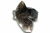 Natural, Dark Smoky Quartz Crystal Cluster - Colorado #244510-1